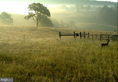 6217 Wilson Rd, Marshall, VA 20115 - photo 5