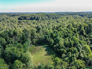 0 Greenlawn Rd unit 2, Quaker City, OH 43773 - photo 6