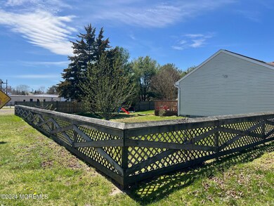 fullyfencedinyard