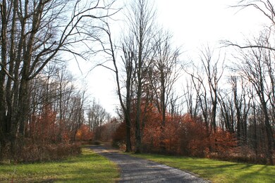 203 Camp Rd, Honesdale, PA 18431 - photo 4