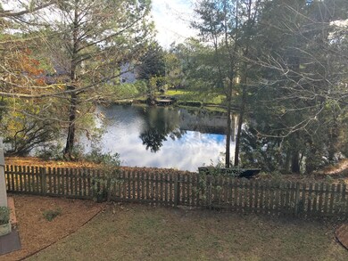 Falling Creek backyard 2
