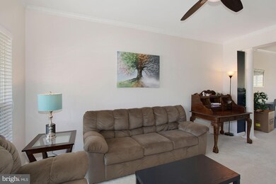 160 Aden Dr, Strasburg, VA 22657 - photo 5