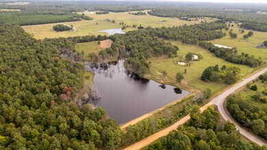 Land for Sale in Arkansas Ozarks 4