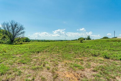 0000B Farm To Market 2048, Boyd, TX 76023 - photo 5