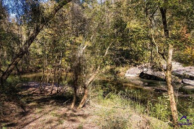 3271 Georgia 42, Forsyth, GA 31029 - photo 7