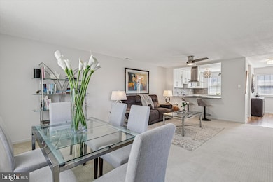 8 Hopkinson Ct, Chesterbrook, PA 19087 - photo 6