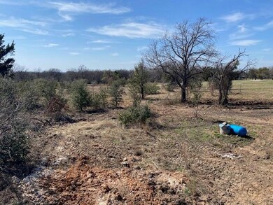 1295 Sandy Ln, Weatherford, TX 76088 - photo 3