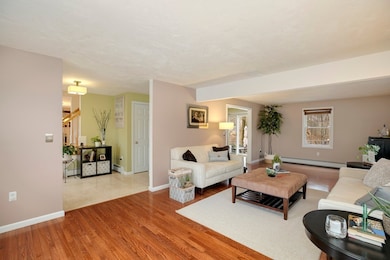 10 Greenhouse Way, Randolph, MA 02368 - photo 5