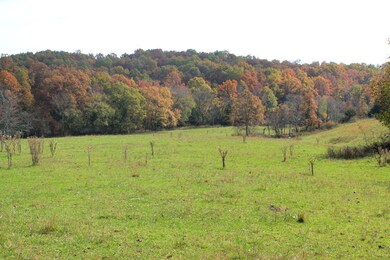 bottom field