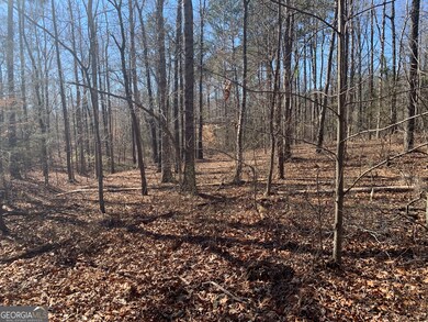 0 Veterans Dr unit 10462428, Danielsville, GA 30633 - photo 6