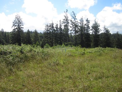 Lot and view