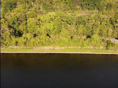 000 Ms River Rd, Hamburg, IL 62045 - photo 5