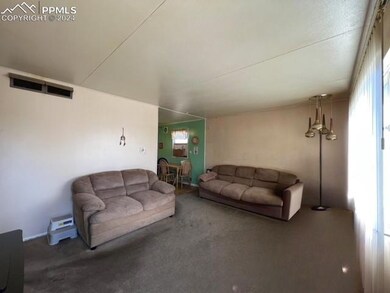 Living room with dark colored carpet