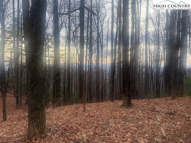 TBD Jobs Rd, Laurel Springs, NC 28644 - photo 6