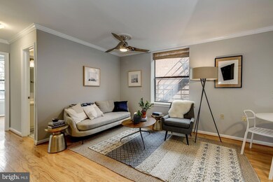 1438 Meridian Place NW unit 301, Washington, DC 20010 - photo 5