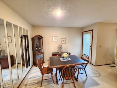 Carpeted dining space featuring a textured ceiling