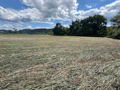 0 Ohio 7 unit 182105, Proctorville, OH 45669 - photo 5