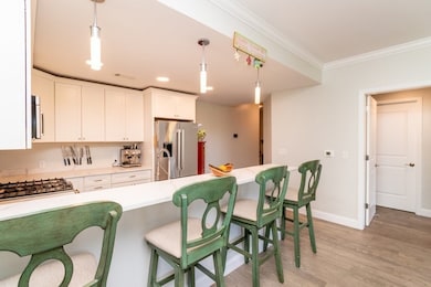 131 Eliot St unit 305, Milton, MA 02186 - photo 7