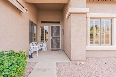 5-web-or-mls-Felix-5