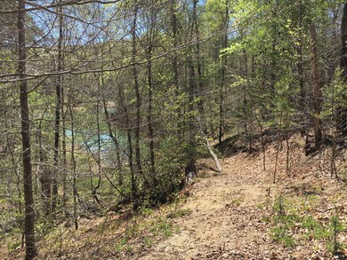 LMS_346 Partially cleared path to Lake