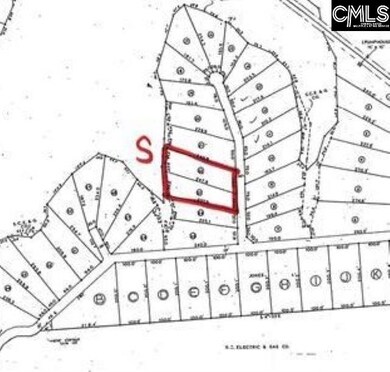 0 Greengarden Dr unit 600735, Chapin, SC 29036 - photo 2