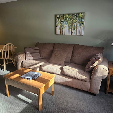 164 Deer Park Dr unit 161D, Woodstock, NH 03262 - photo 4