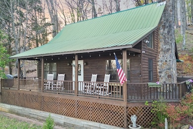 87 Owltown Dr, Ellijay, GA 30536 - photo 6