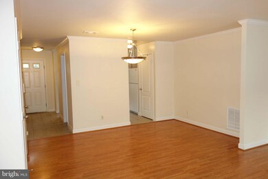 14135 Yorkshire Woods Dr, Silver Spring, MD 20906 - photo 5