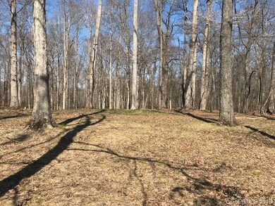 279 Church Lake Rd, Statesville, NC 28625 - photo 3