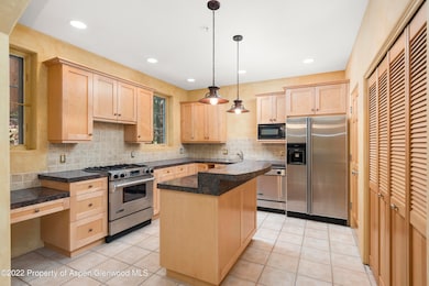 306 Wild Spring Ln unit 10, Basalt, CO 81621 - photo 6