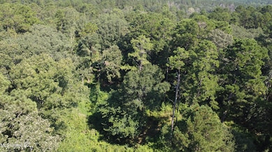 997 Morgantown Rd, Foxworth, MS 39483 - photo 3