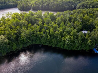 N8481 Bog Lake Rd, Gleason, WI 54435 - photo 5