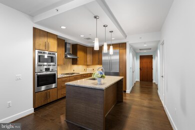 The Darcy unit 205, Chevy Chase, MD 20815 - photo 5