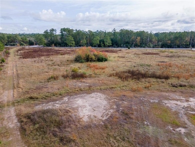 0 Edgerly Dequincy Rd unit SWL25102193, Vinton, LA 70668 - photo 4