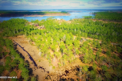 203 Paradox Point Drive, Aurora, NC