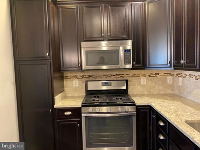 43075 Thoroughfare Gap Terrace, Ashburn, VA 20148 - photo 6