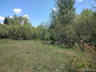 TBD Dunham Rd, Marenisco, MI 49947 - photo 4