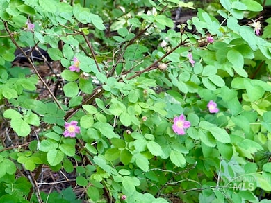 8 Kathleen Way, Cascade, ID 83611 - photo 3