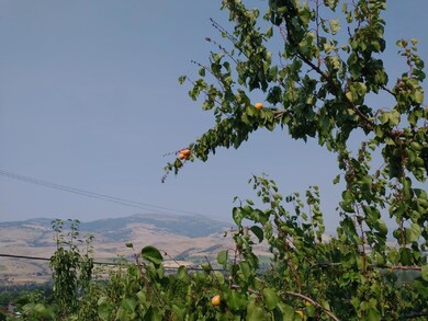 photo0(5)