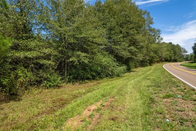 Parcel 1 Coppers Ford Rd, Tylertown, MS 39667 - photo 3