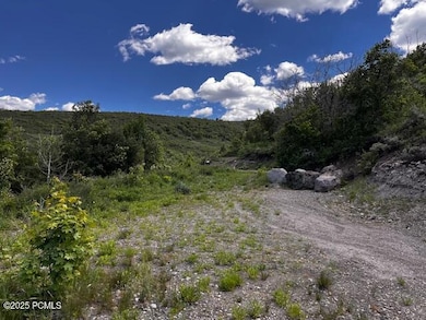 5012 S Sheep Dog Trail unit 22, Woodland, UT 84036 - photo 6