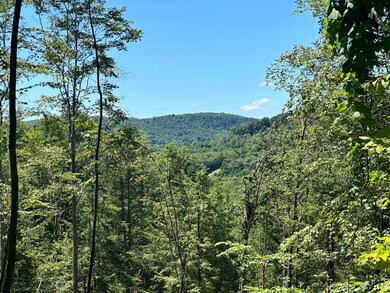 1253 Shawna Rd, Cherry Tree, PA 15724 - photo 4