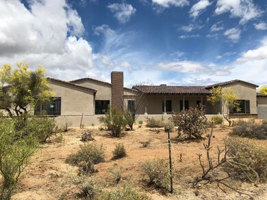Natural and lush desert surroundings