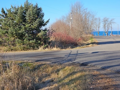 TBD Whistle Rd, Isle, MN 56342 - photo 2