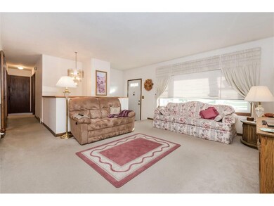 Bright Living Room