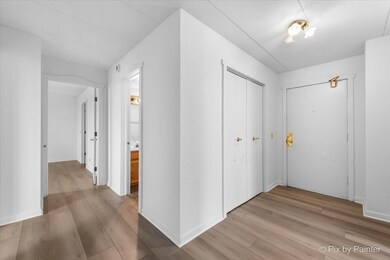 One Renaissance Place unit 1017, Palatine, IL 60067 - photo 4