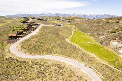 002_07-7429_golden_bear_loop07_930