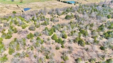 TBD Oklahoma 26, Cowlington, OK 74941 - photo 6