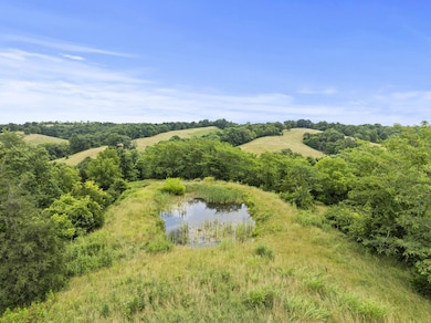 6-web-or-mls-DJI_20250701131744_0288_D