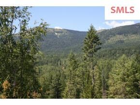 Lot 3 Larsen Ranch Ln, Sandpoint, ID 83864 - photo 4